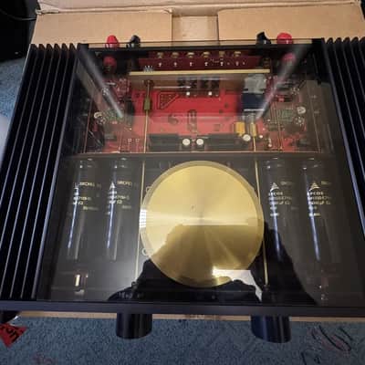 Brinkmann Amplifier Integrated image 2
