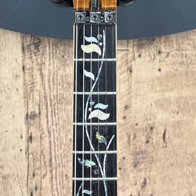 Ibanez J Custom RG8570Z 2016 image 8
