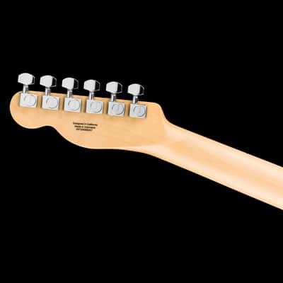 Fender Standard Telecaster Butterscotch Blonde Electric Guitar image 5