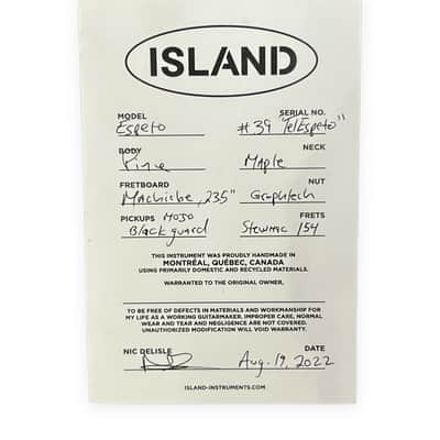 Island Instrument Manufacturer Espetele 2022 Olympic White, NEW (Authorized Dealer) image 23