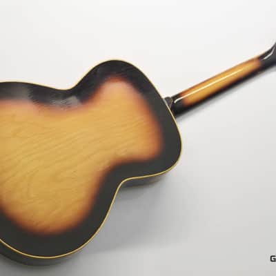Lignatone Guitar image 5