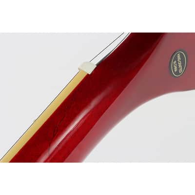Epiphone Les Paul Standard '60s Electric Guitar Regular Bourbon Burst image 6