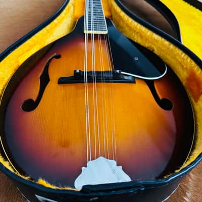 VINTAGE & RARE! 70's The Kasuga M-18 Mandolin in OHSC! image 3