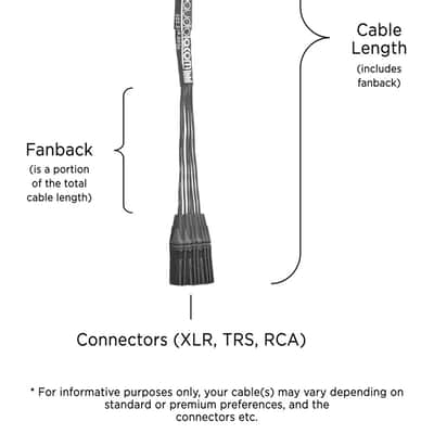 Analog DB25 to RCA-Female Snake Cable | Made from Mogami 2932 & Amphenol Gold Connectors | Premium Finish | Black | 25 Feet image 2