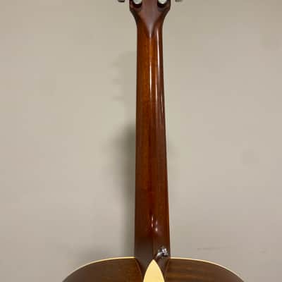 Taylor DN-3 2010 - Natural image 4