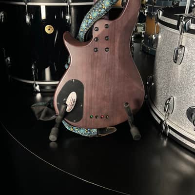 Schecter Guitar Research Omen Elite 4 / Four String Electric Bass Guitar in See-Thru Blue Burst with Hardshell Case (RM 2) image 8