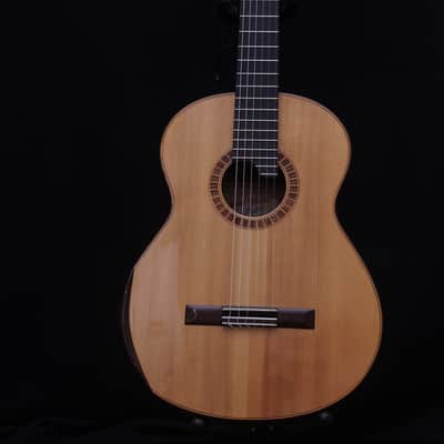Jeroen Hilhorst Guitar No. 50 2003 - French Polish image 2
