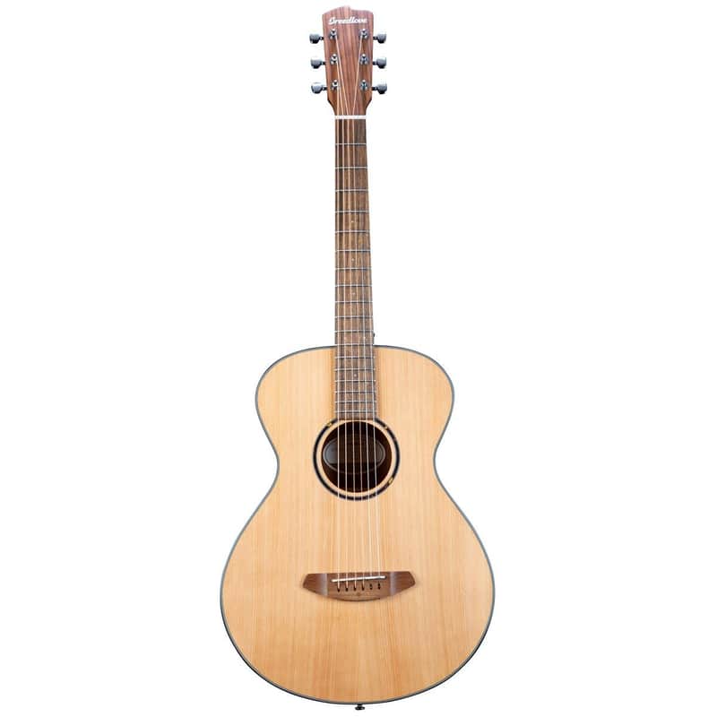 Breedlove Discovery S Concertina image 1