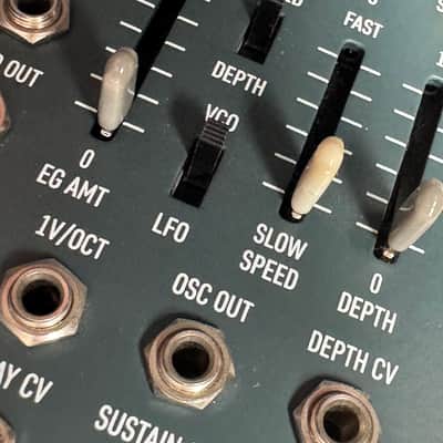 Black Corporation Rachael – Analog Synth Voice / Filter Module (Excellent Condition) image 1