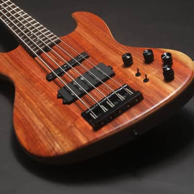 Sadowsky Metroline 21-fret Std M/J Limited Edition 2024 - Natural Transparent Satin image 5