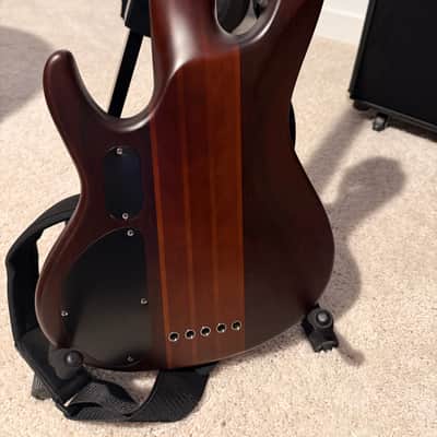 ESP LTD D-5 2010s - Natural Satin with Mahogany/Maple Neck image 3