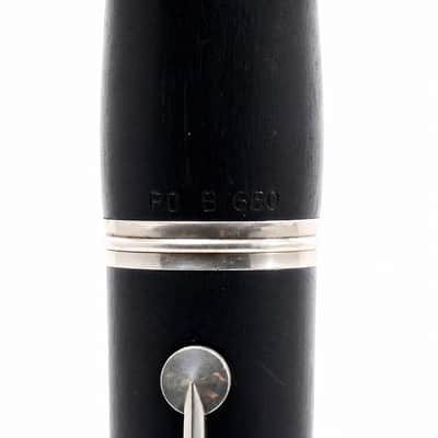 Buffet Crampon R13 Professional Bb Clarinet in Grenadilla SN F499157 image 16