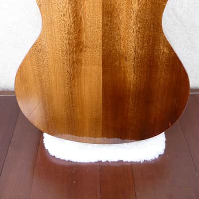 Washburn WL012SE-0 Acoustic/Electric #CC201113216 w/HSC USED image 10