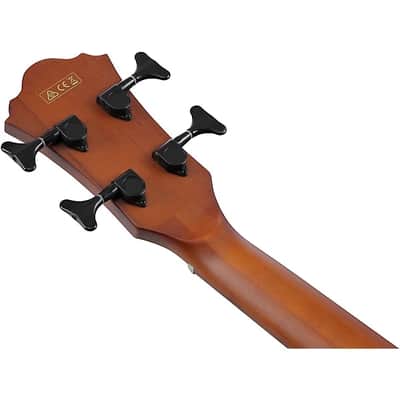 Ibanez AEGB30E Spruce-Sapele Acoustic-Electric Bass Guitar - Natural image 10