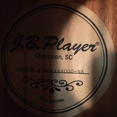JB Player JBEAB4000NA 5-String Acoustic Electric Bass image 5