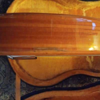 Ampeg GEB-750 BIG STUD 1973-1975 -original case RARE image 13