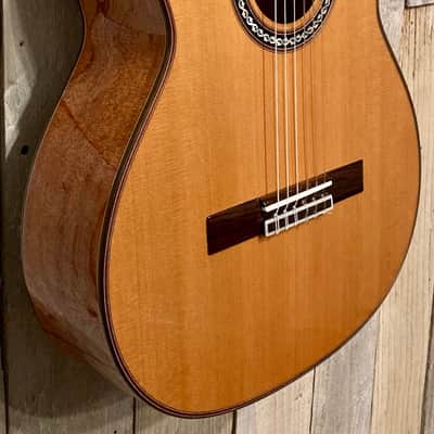 New Cordoba C9 Cedar Classical Natural, Stunning Guitar, Support Small Business & Buy it Here ! image 3