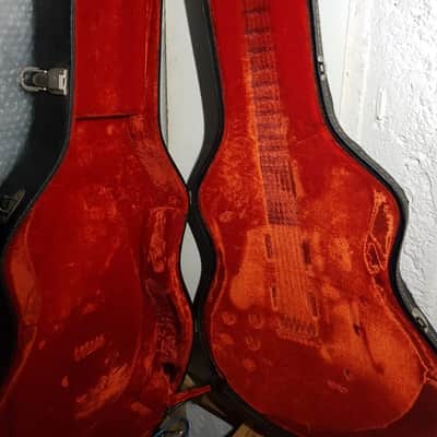 1977 FENDER STARCASTER CASE USA image 16
