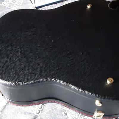 Breedlove Revival USA Custom Shop hog top Dread image 20