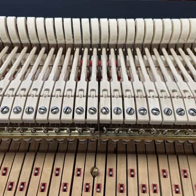 Steinway Model M 5'7" Grand Piano 1924 (Restored) - Satin Mahogany image 21