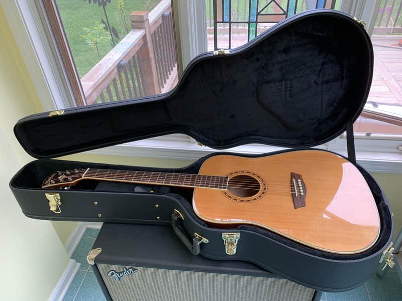 Washburn WD 10 Dreadnought Acoustic Guitar Natural /w Case image 1