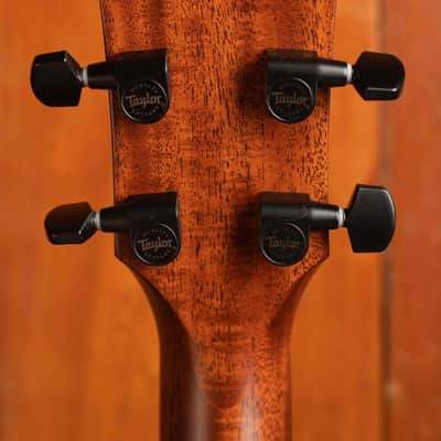 Taylor 324ce Baritone-6 LTD image 9