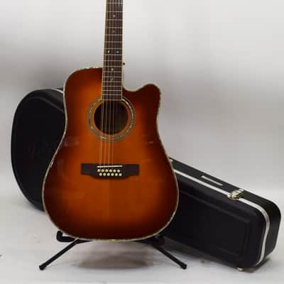 Zager Easy Play ZAD-900CE-12 12-String Acoustic/Electric Guitar image 1