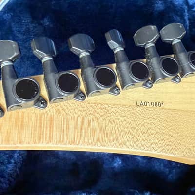 Ibanez LACS 7-string | The “Dave’s Party Piece” guitar used on Vai “Live at the Astoria” | Rare tour collectibles included | Brand new Ibanez case | FREE shipping image 15