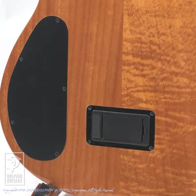 CORDOBA STAGE GUITAR (TRADITIONAL CD) image 10