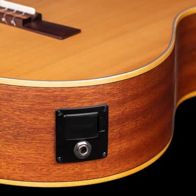 Ortega RCE131SN Family Series Pro Solid Cedar Top Mahogany Neck Cutaway Nylon 6-String Classical Acoustic-Electric Guitar w/Gig Bag image 12