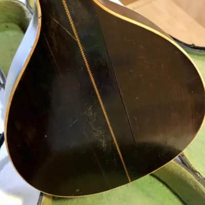 Bruno Klemm. Mandolina. Year 1890 Mandolin. image 13