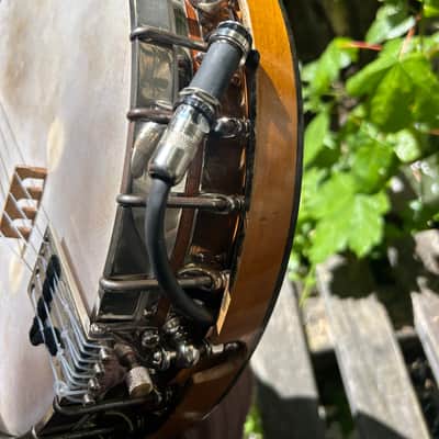 1920s FAIRBANKS VEGA TubaPhone 4 string Tenor Banjo w/ resonator plate and pickup. image 7