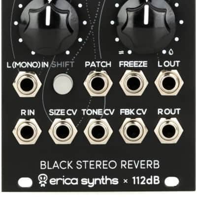 Erica Synths Black Stereo Reverb Eurorack Module (BlkReverbd1) image 6