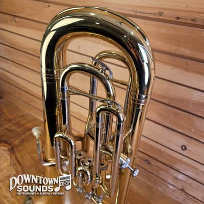 D. C. Pro Series II Bb Euphonium with Foam Hard Case, Mouthpiece, Bell Cover image 4