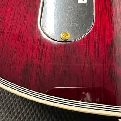 LTD EC-1000T CTM - See Thru Black Cherry #20253 (Factory Demonstration Model) image 10