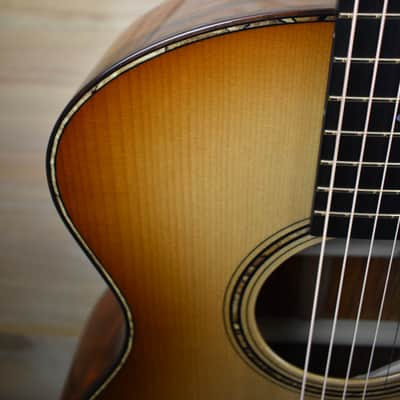 Bedell Revolution Orchestra 2025 - Adirondack/Cocobolo image 10