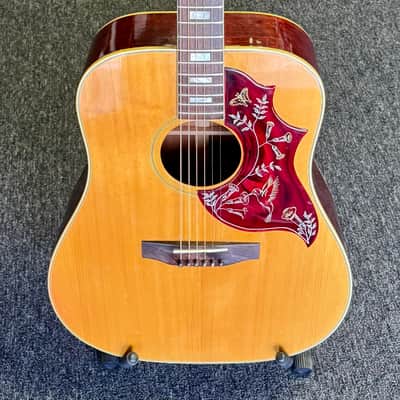 CLEAN 1974 Gibson Hummingbird - Natural image 2