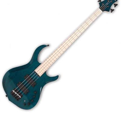 Basse Electrique M. Miller M2-4 TBL MN Transparent Blue image 17