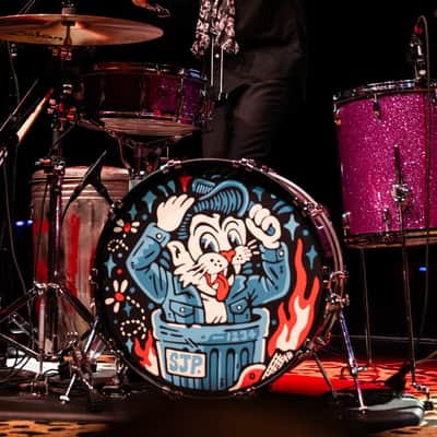 Stray Cats, 2026 22" Tour Style Bass Drum Head, Slim Jim Phantom image 5