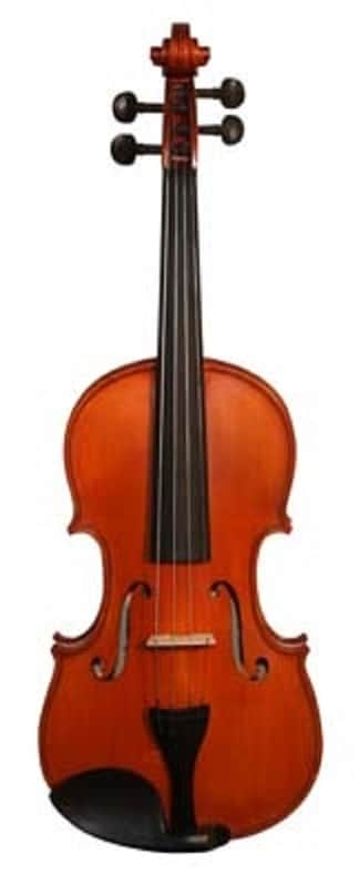Grottano GVA-3 1/2 Violin image 1