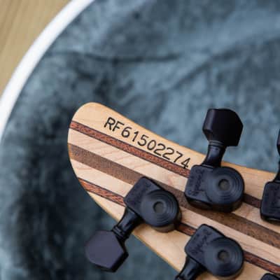 Mayones Regius 6 "Master Builder Edition" image 24