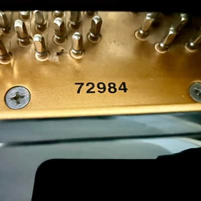 Elegant Wurlitzer Baby Grand Piano 4'8" Glossy Black Finish image 10