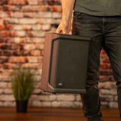 Peavey Solo | 1x8" 15W Portable Battery-Powered Amp/PA System. New with Full Warranty! image 7