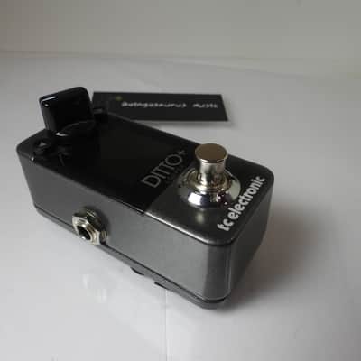 TC Electronics Ditto + Plus Looper Effects Pedal Phrase Sampler Free USA Ship image 2