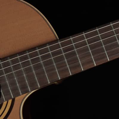 Alhambra Crossover CS-1 CW E8 (#LdM) image 6