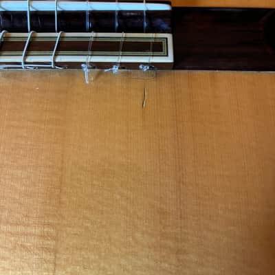 2007 Paulino Bernabe "Leonardo" S/AR Raised Fingerboard image 10