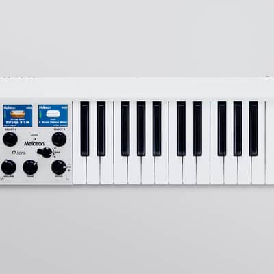 Mellotron Micro Digital Mellotron image 2