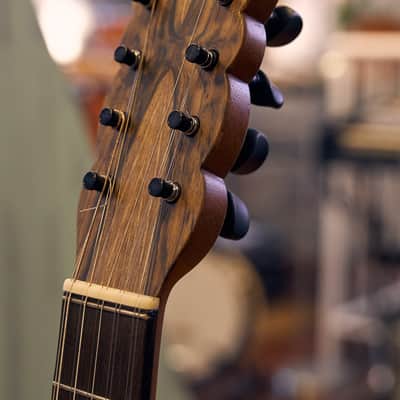 Artimúsica Traditional Luthier 10 String "Viola de Arame" Madeira image 21