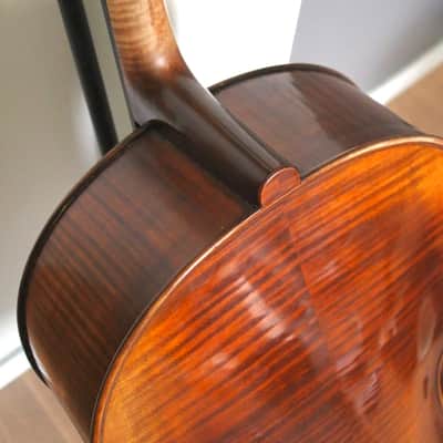 Ettore Soffritti 4/4 cello 1909 image 7