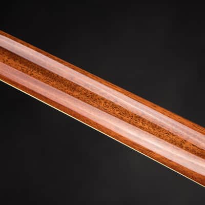 Collings D-42A T Adirondack & Cocobolo image 10